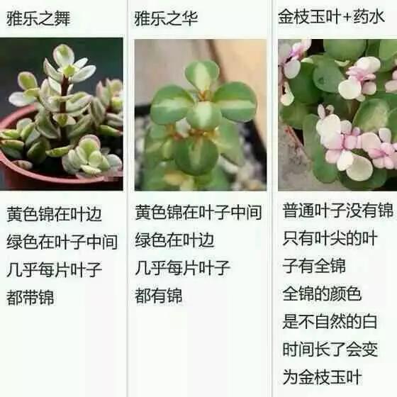 166run吃瓜不打烊