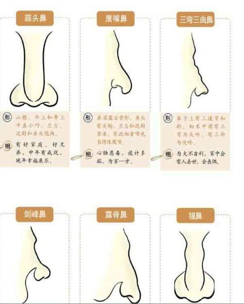 黑袜男同志小说