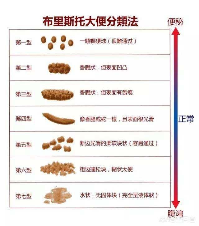8x8x我要打机飞在线观看 大家都爱看点不一样的打机