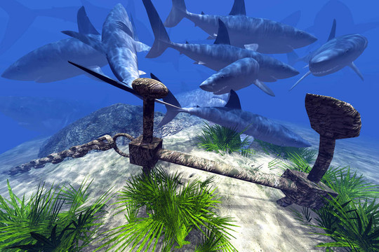 国产区精品高清在线观看 画质稳定性以及用户体验