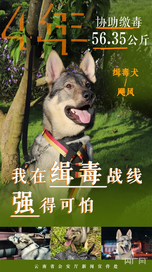 电影院市长足控