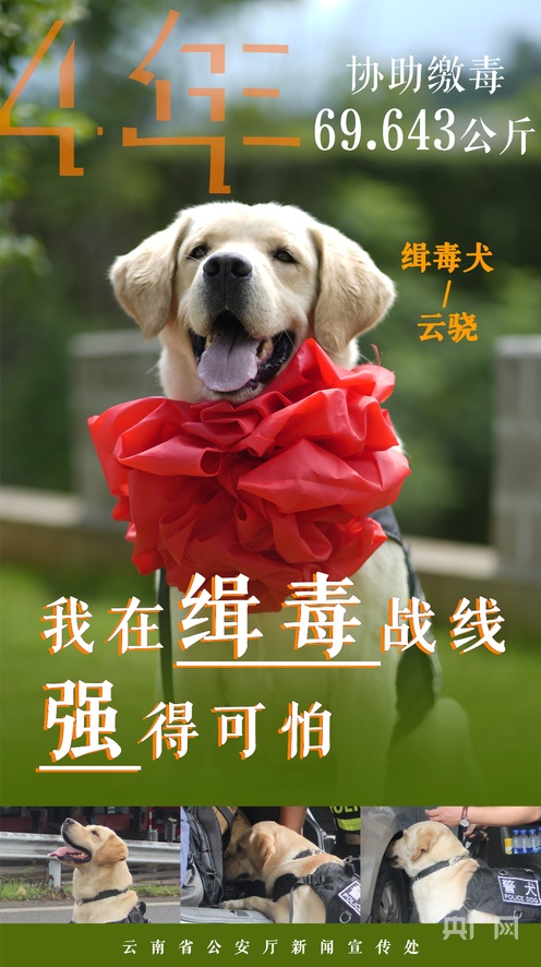 首页. 最新视频. 最热视频. 小马拉大车视频. 动 有用的首页视频视频帮助