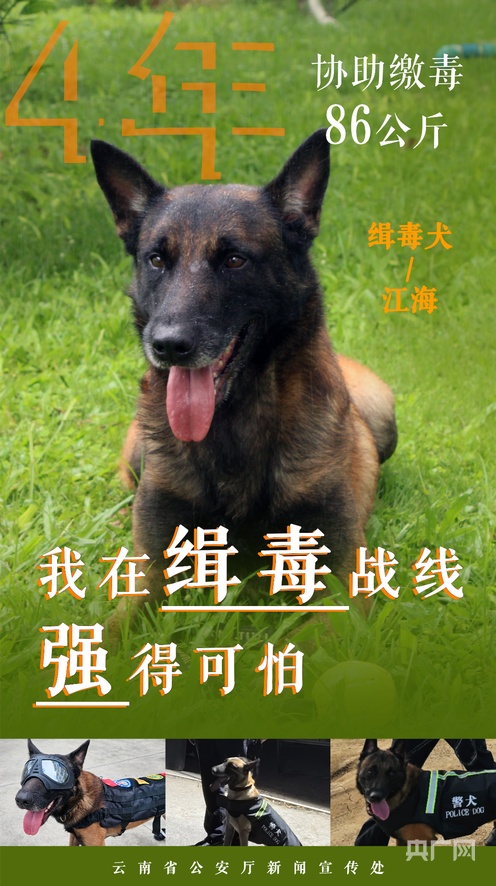 瓜老师的笔记排行