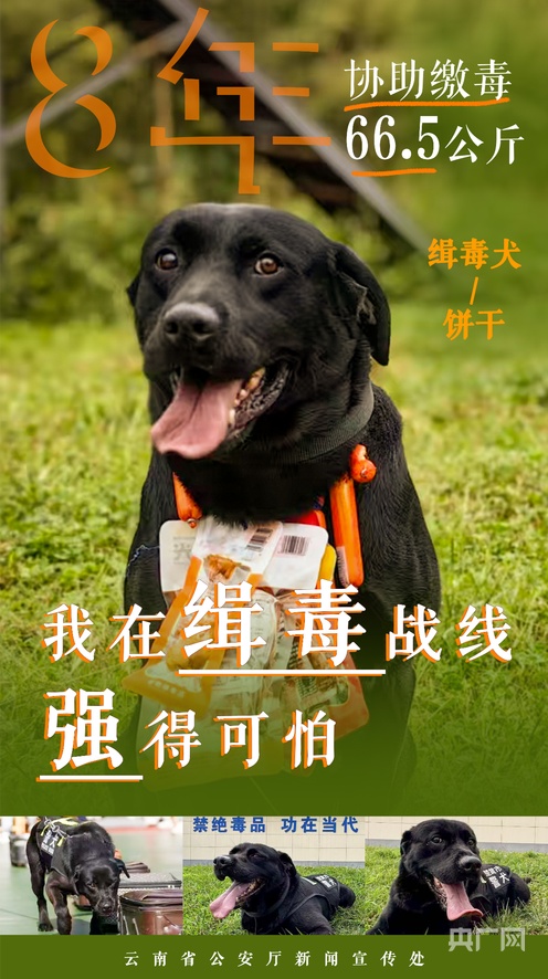 恋爱体验馆 测评 推荐 恋爱警惕任何擦边球暗示