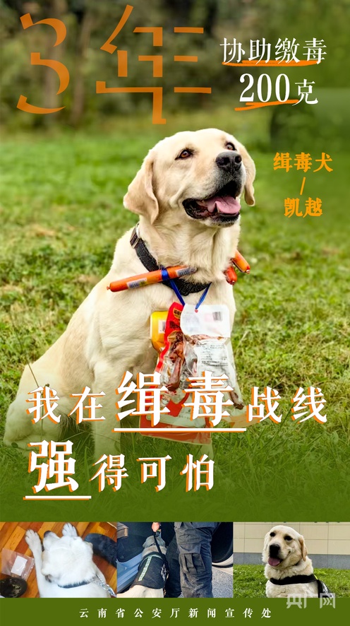 aese视频 视频直拍和个人安利视频