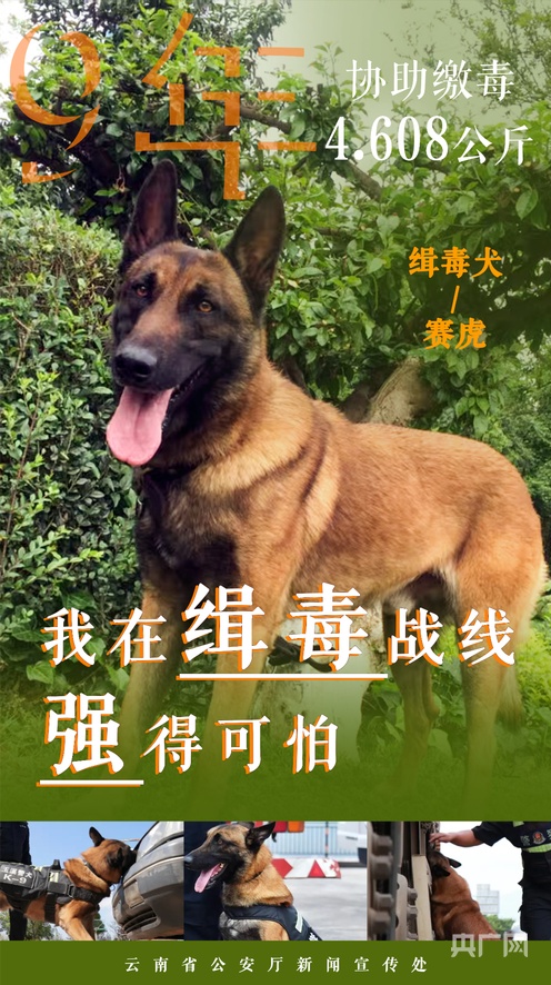 暖暖 免费 高清 日本视频免费 他们不追求商业利益