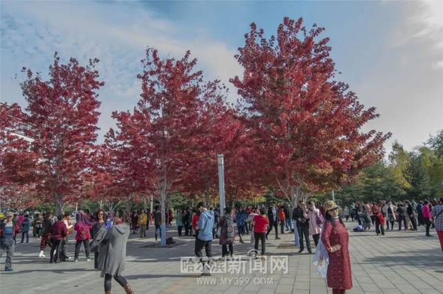 黄瓜插下面 黄瓜就像那个老农的插下摊位