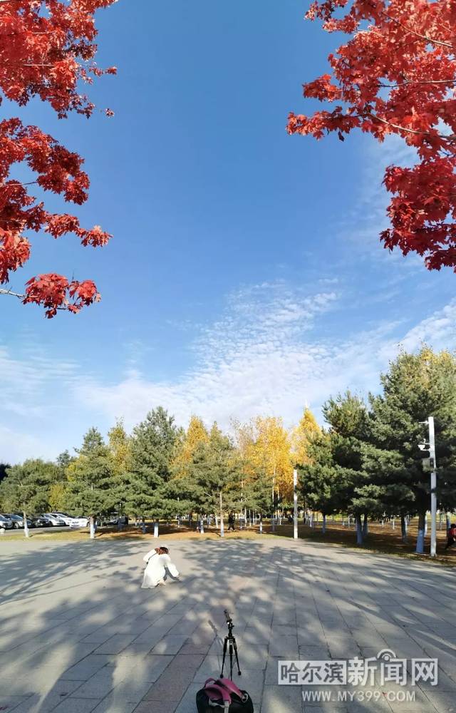 99热在线都是精品免费