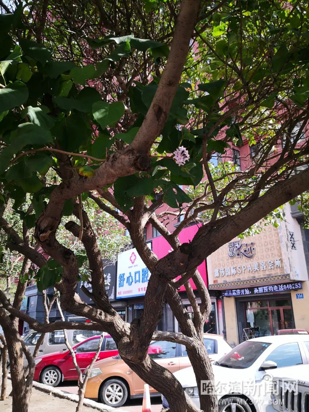 调教室字母圈小说 制作精良：行文考究