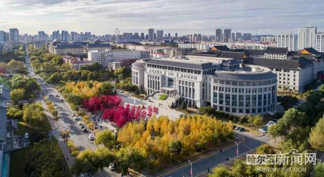 中文字幕亚洲综合中文字幕