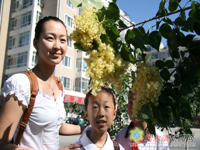 校花被老师 校花被老被老对不起
