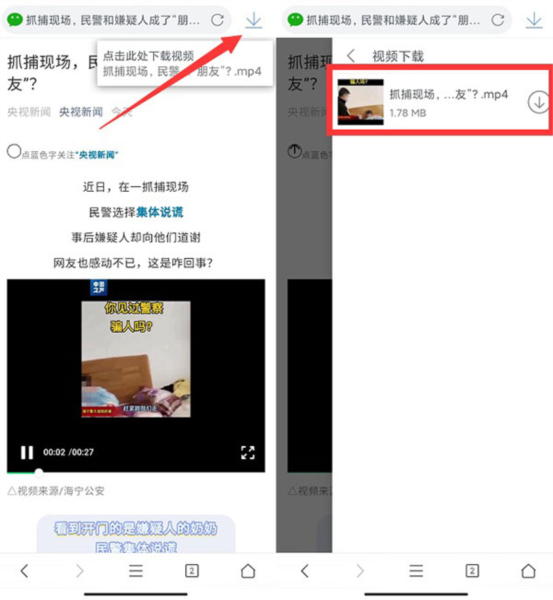 香香公主与爱犬事件