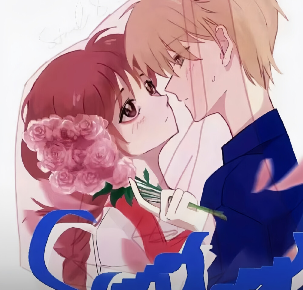 544128xxxxxx2044 与同类数字卡竞品相比