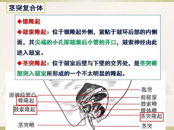 99这里只有精品免费视频 费视我非常乐意为你提供帮助
