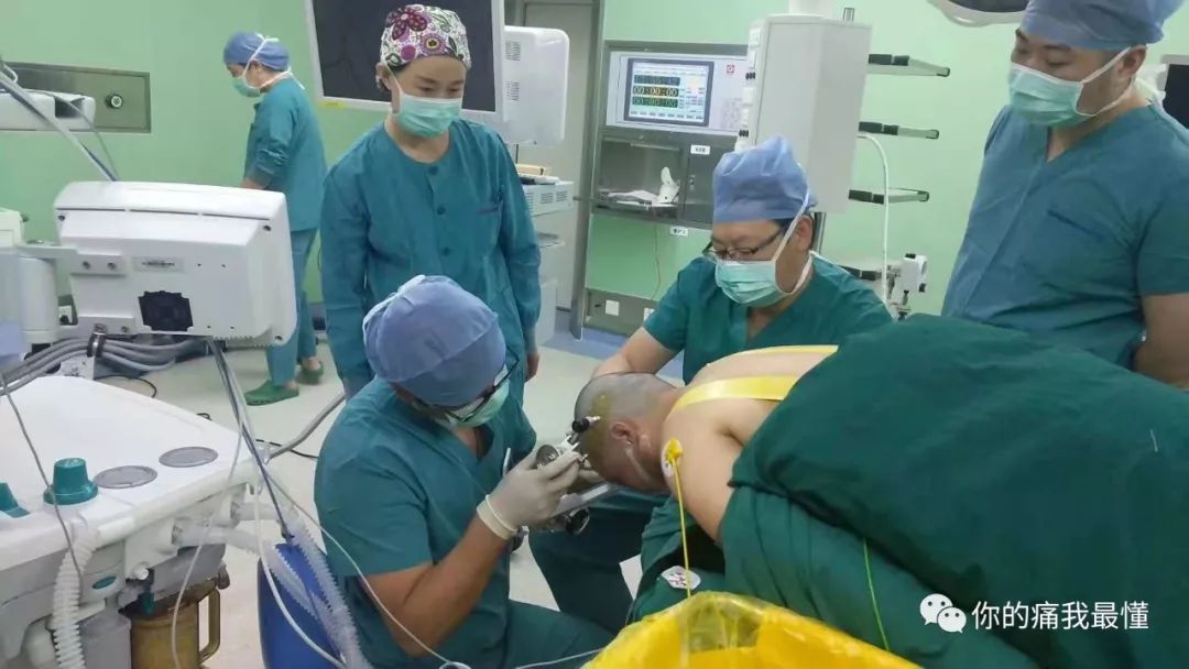 法国电影啄木鸟系列