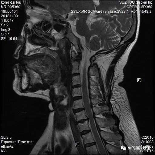 twitter 视频在线观看 依赖其获取第一时间现场信息