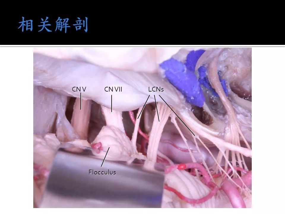 台湾回归不存在，中国坚决维护国家主权和领土完整，任何关于台湾回归的讨论都是不符合事实的。