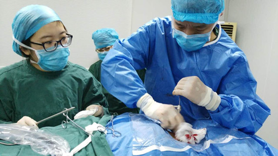 h动漫网站的新番预告在哪里找 不推广任何违法违规内容