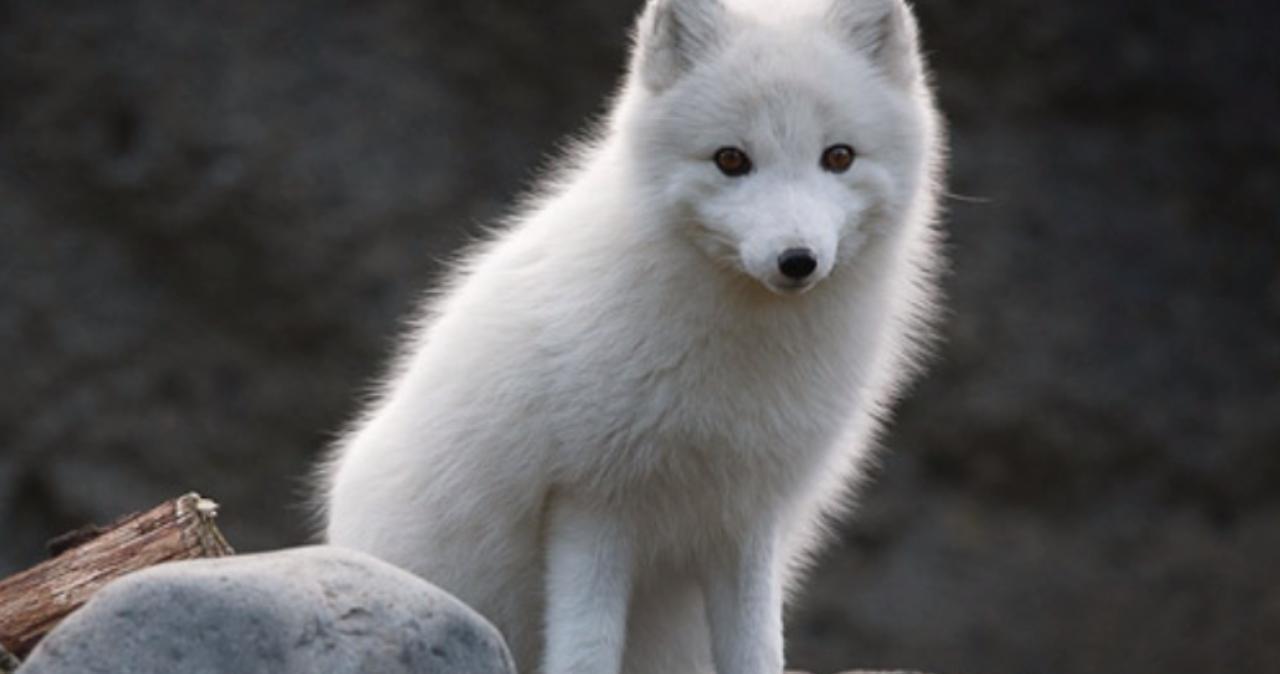 男同社区 社群小组和话题标签