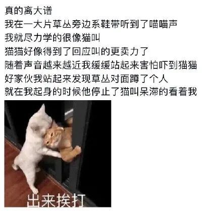 老司机精品视频