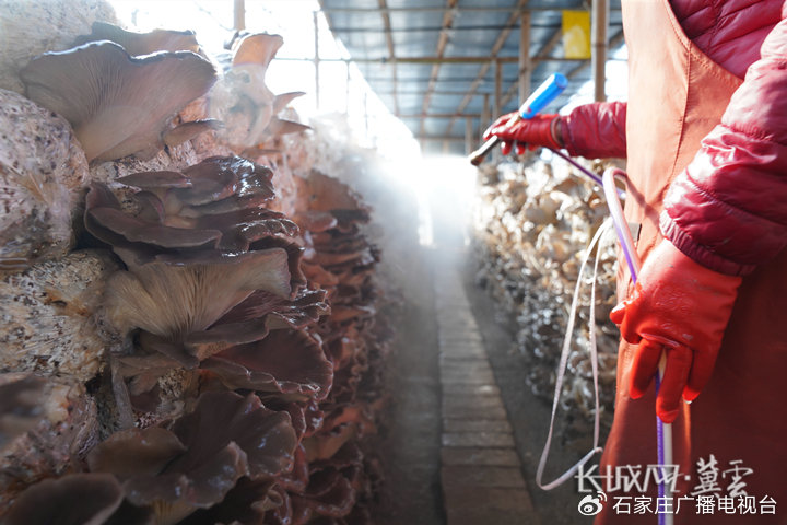 国产精品一区二区不卡 