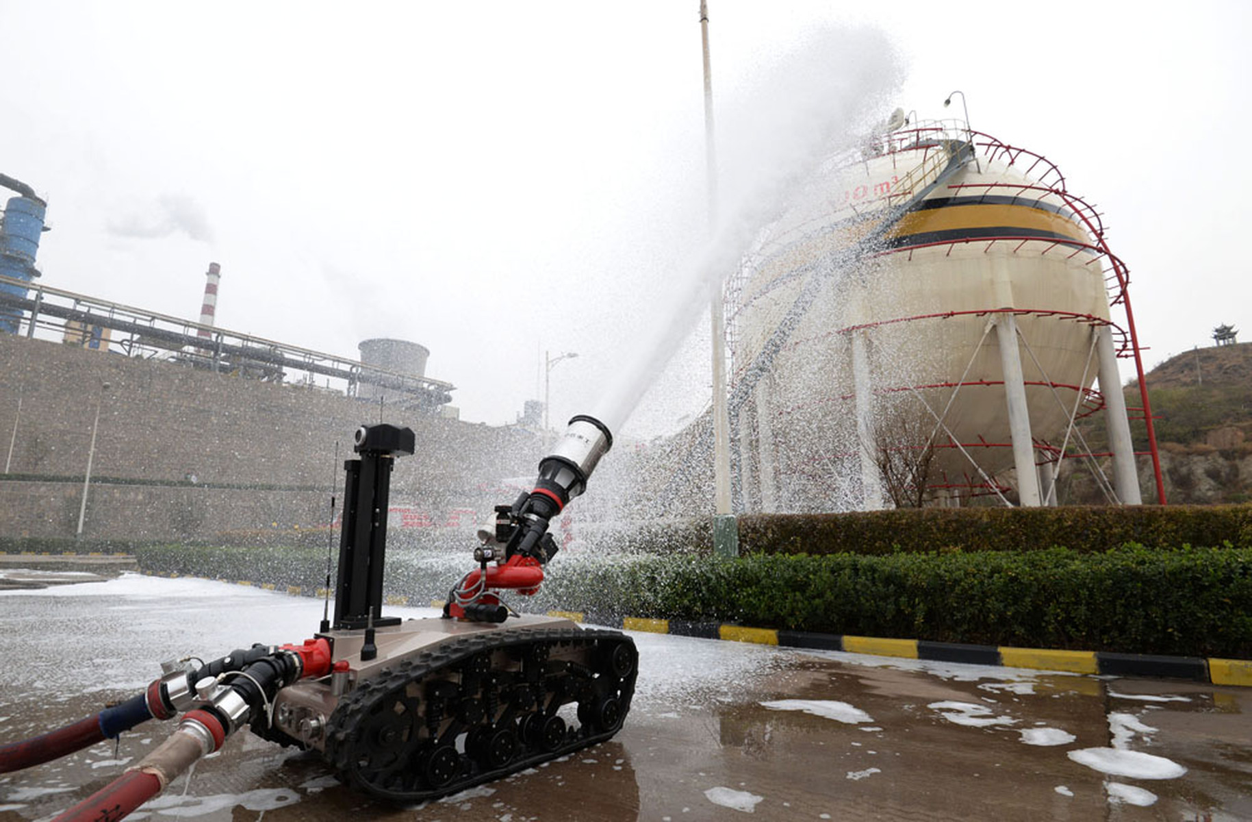 稀奇 禁 稀奇禁文化现象或知识探讨