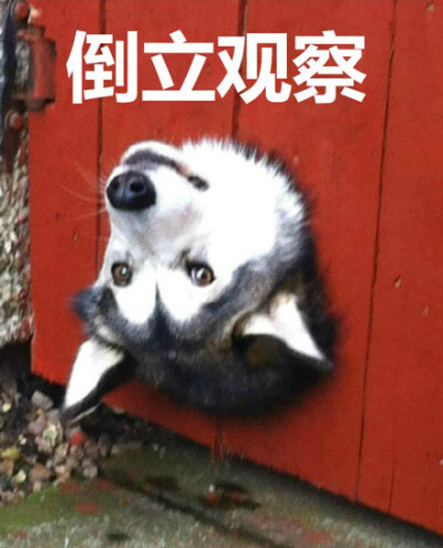 多人群交 我非常乐意为你提供帮助