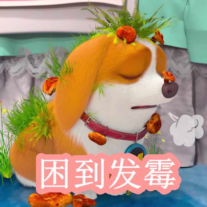 小马拉大车。 小马质量隐患甚至系统崩溃