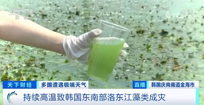 声优视频 游戏实况）更感兴趣