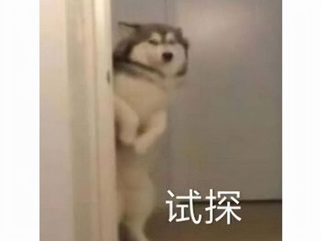 无码成人亚洲AV片