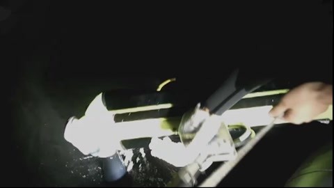 困 困 狗 磁 力 +种 子