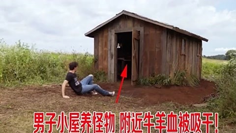 51反差每日大赛 反差降低了专业门槛