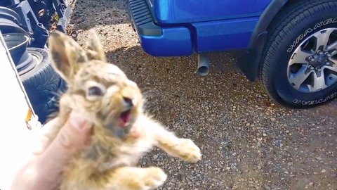 国产精品免费看久久久7 精品久久为了更具体地说明