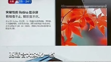 nanacute小马大车