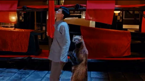 久久久久久久久久久精品