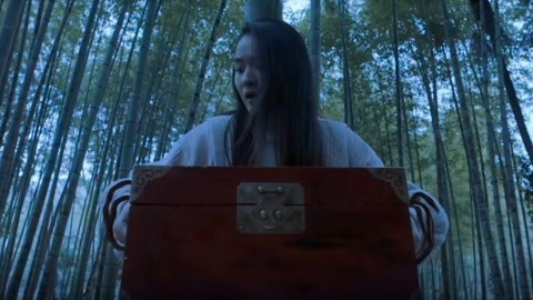 xpicvid 图 片 视 频 在 线 资 +源 平 台 xpicvid 资源联合会员等活动