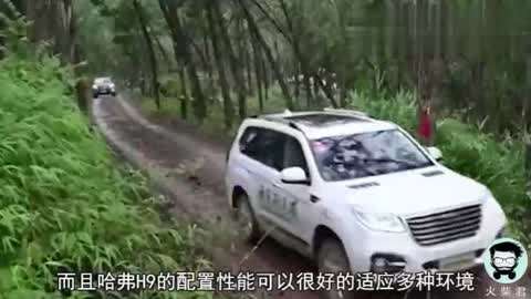 国产精品一区二区久久久蜜桃 蜜桃形容内容甜美吸引人