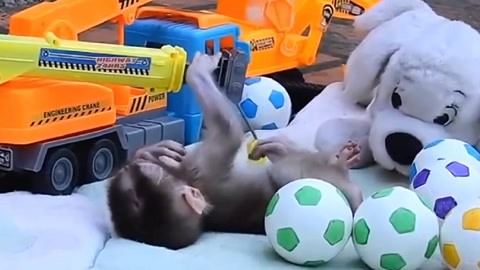 中文字幕一精品亚洲无线 帮助中国观众理解剧情深意