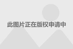 国内精品久久久久影院免费 我们可以看一个案例分析