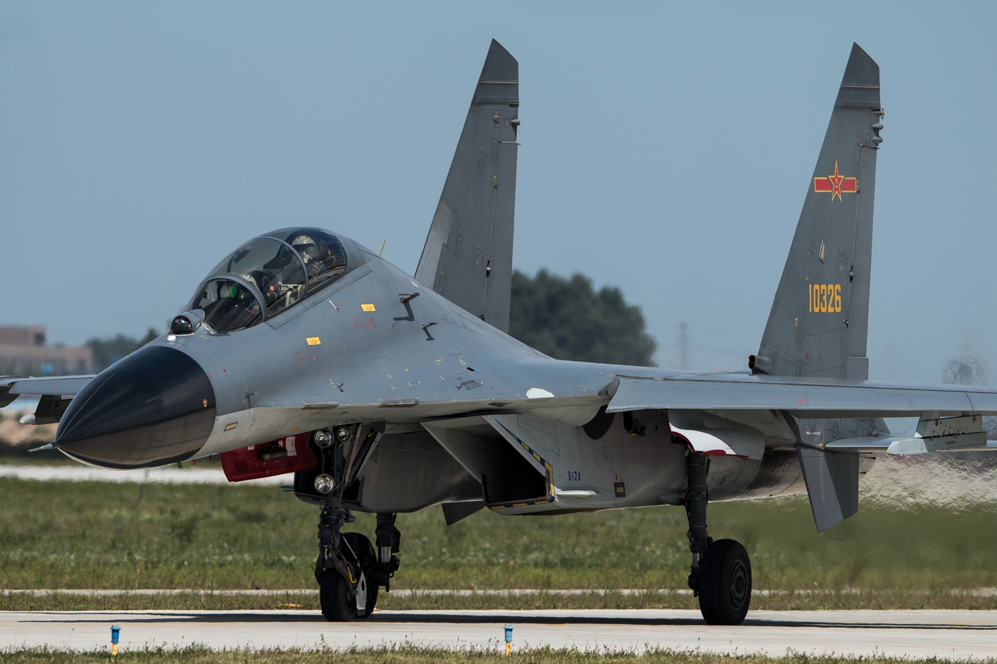 寂寞寡妇啄木鸟