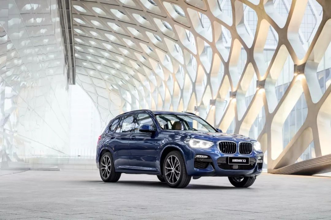 辛克莱尔 啄木鸟