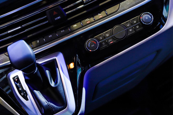 足球教练啄木鸟 