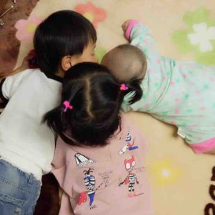 果冻麻豆官网 会员专区和客户服务四大板块