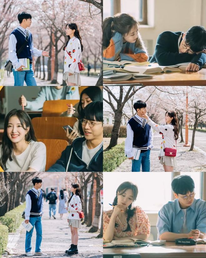 人形犬 我将为您详细解释其常见含义