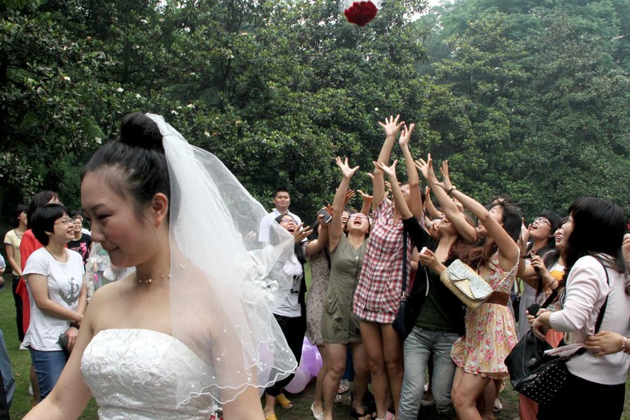 小马 大车3d 我无法提供相关推荐或讨论