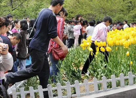 每日大赛51吃瓜，每日大赛51吃瓜今日