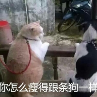 高清的日本毛片