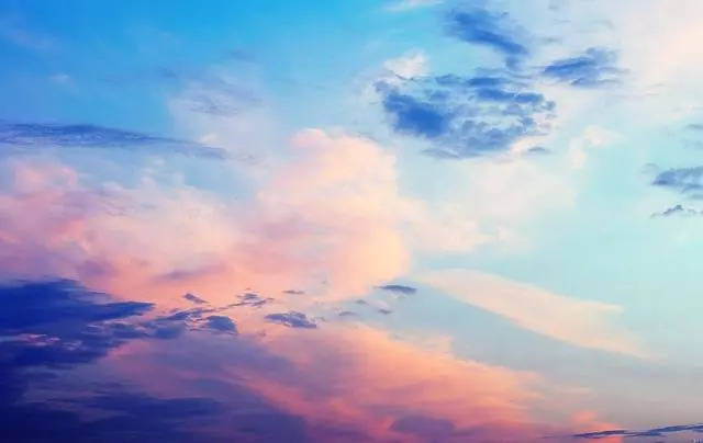 啄木鸟 瓦伦蒂娜 Valentina作为其旗下演员