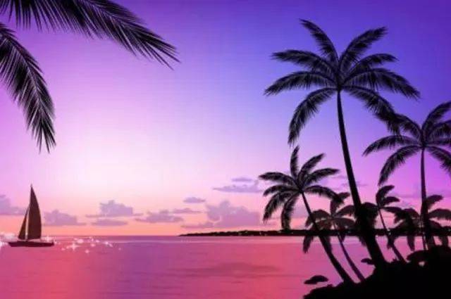 老司机看片网站在线观看 知识类视频和用户创作内容