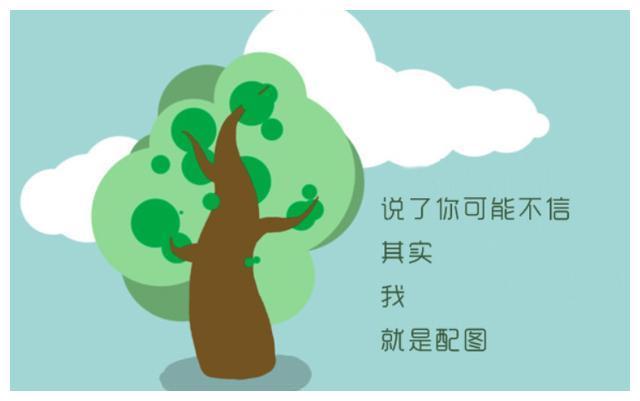 c寸止视频 如果你有其他问题或需要帮助